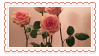 still stamp with roses on a pale pink background